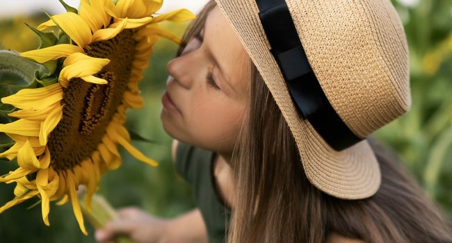 Little girl blogger in the sunflowers. In a hat and a beautiful dress.